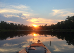 sunset kayak